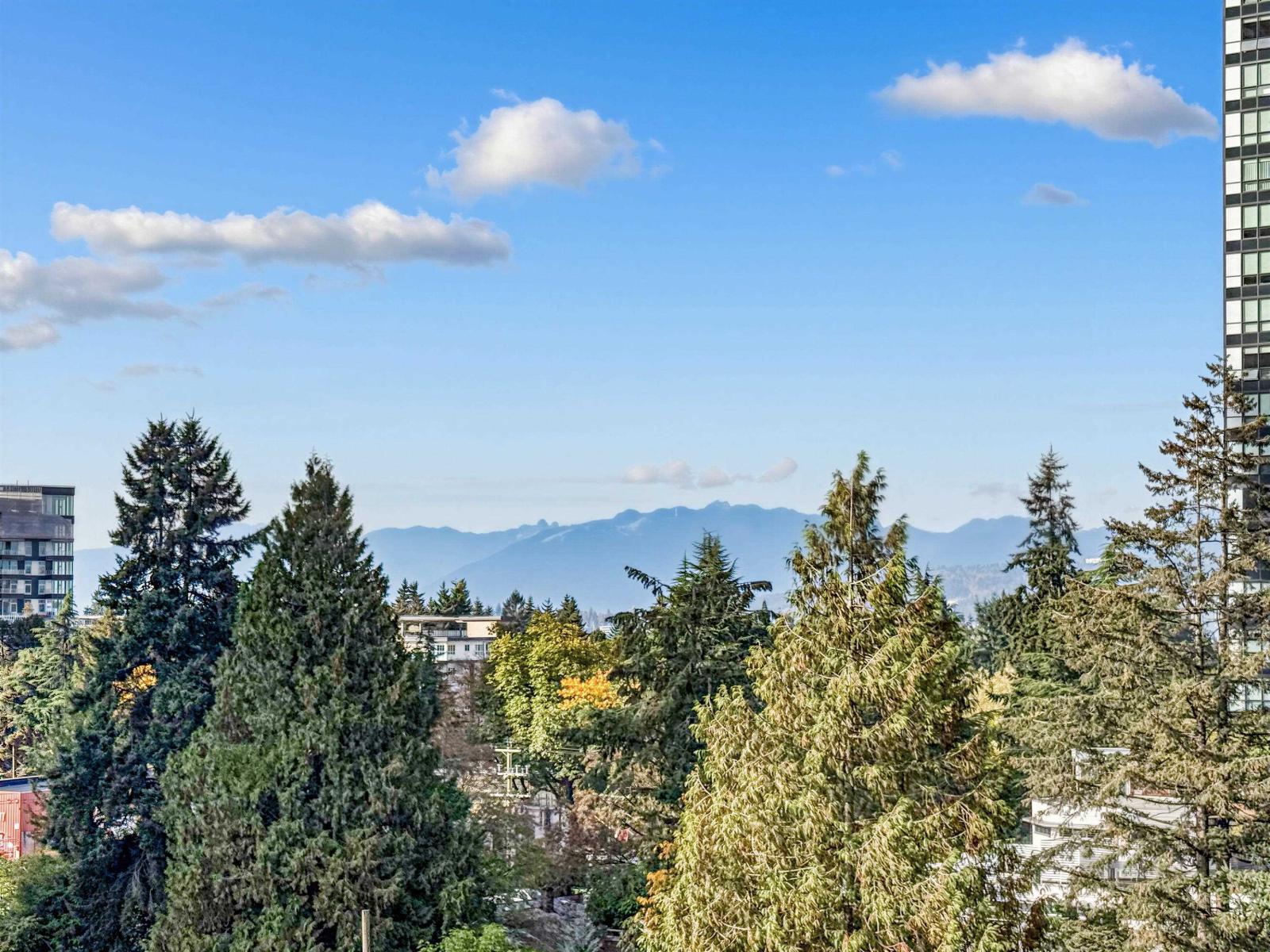 2 Bed, 2 Bath Apartment for Sale in Delta – 806 13438 CENTRAL AVENUE, Delta – MLS# R3173506 - Image 26