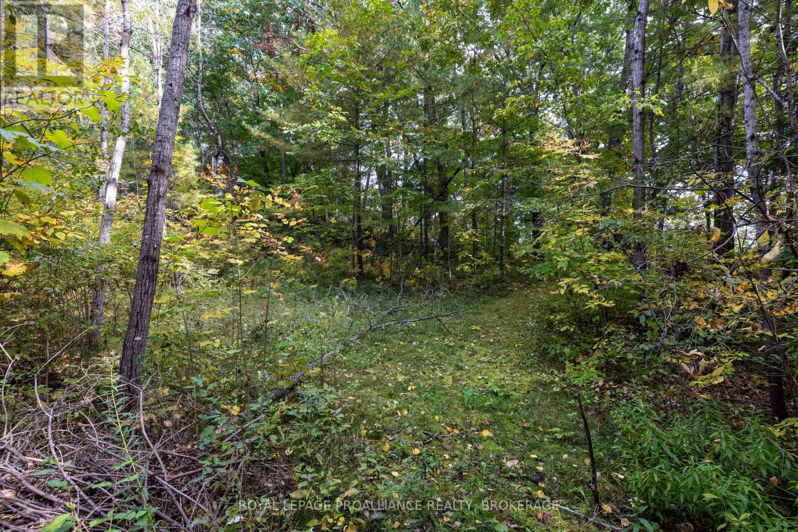 106 OLD RIVER ROAD - Image 35