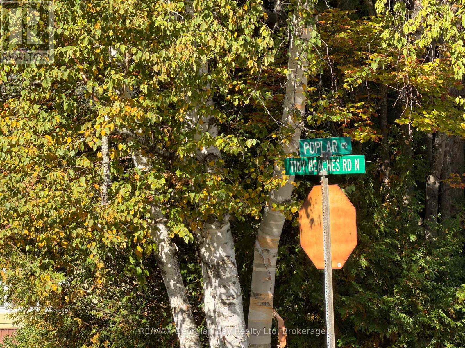 69 Pinecone Avenue — photo 13