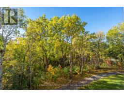 223 - 7373 Martingrove Road, Vaughan, ON L4L9K1 Photo 22