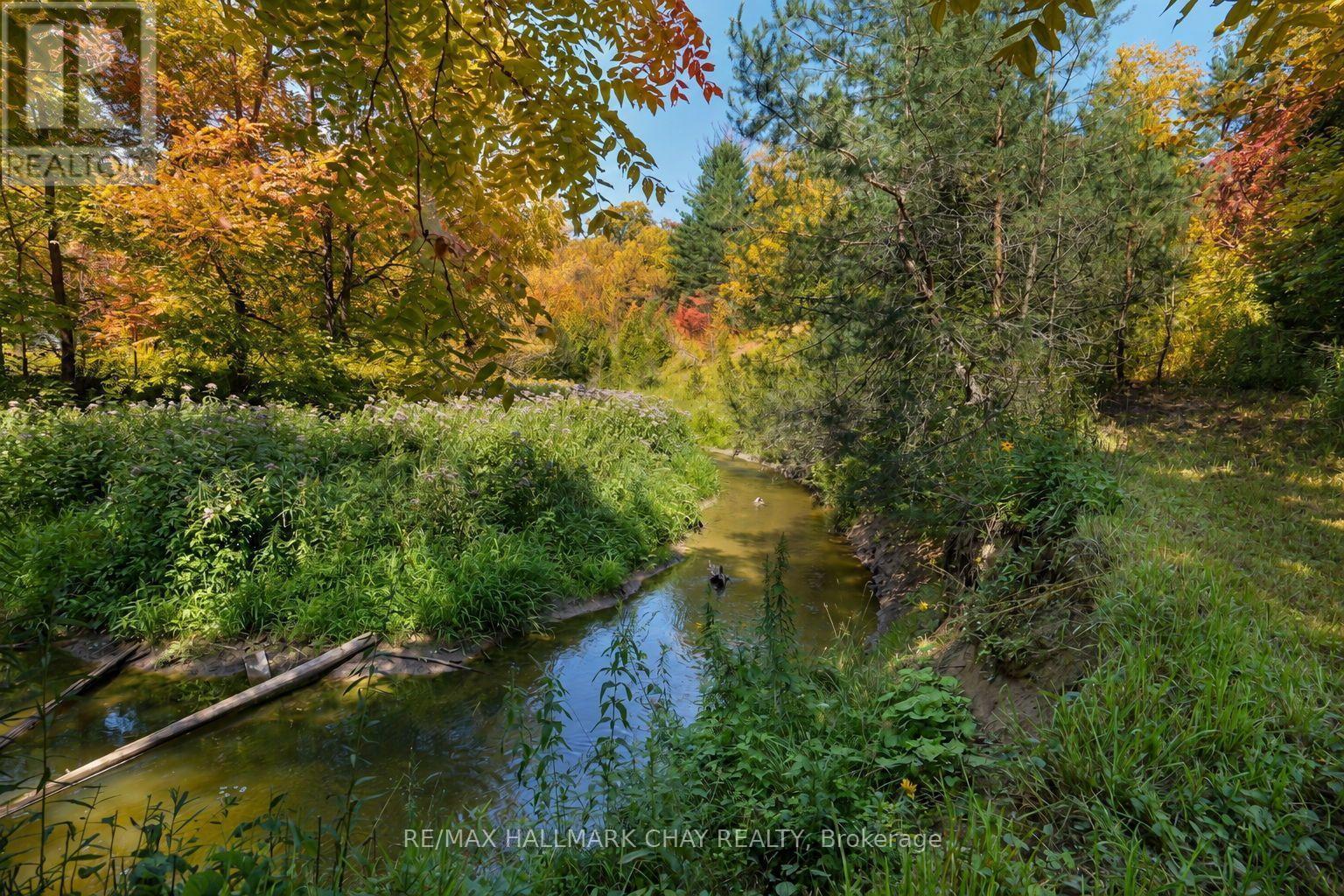 5247 County Road 9 Road — photo 42