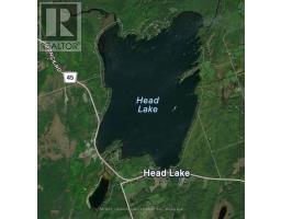 6 Greenwood Road, Kawartha Lakes, ON K0M2B0 Photo 31
