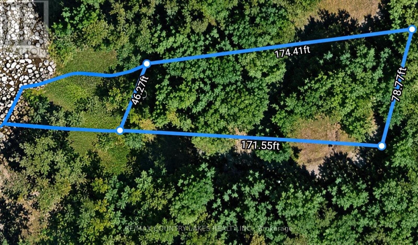 6 Greenwood Road, Kawartha Lakes, ON photo 33
