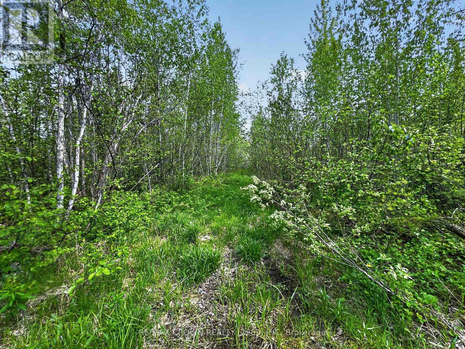 Lot 5 Concession 3 — photo 10