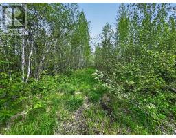 Lot 5 Concession 3, Mattice Val Cote, ON P0L1T0 Photo 10