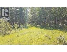 W-5.r-5,t-26,s-13,q-sw And W-5,r-5,t-26, S-13, Q-s, Rural Rocky View County, AB T0L1N0 Photo 27