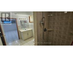 Basement - 49 Algoma Street, Toronto, ON M8Y1C4 Photo 11