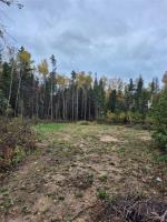 14 St Andrews View, Alexander, MB R0A0A0 Photo 6