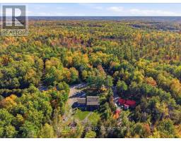 181 Jarvis Road, Madoc, ON K0K2K0 Photo 49