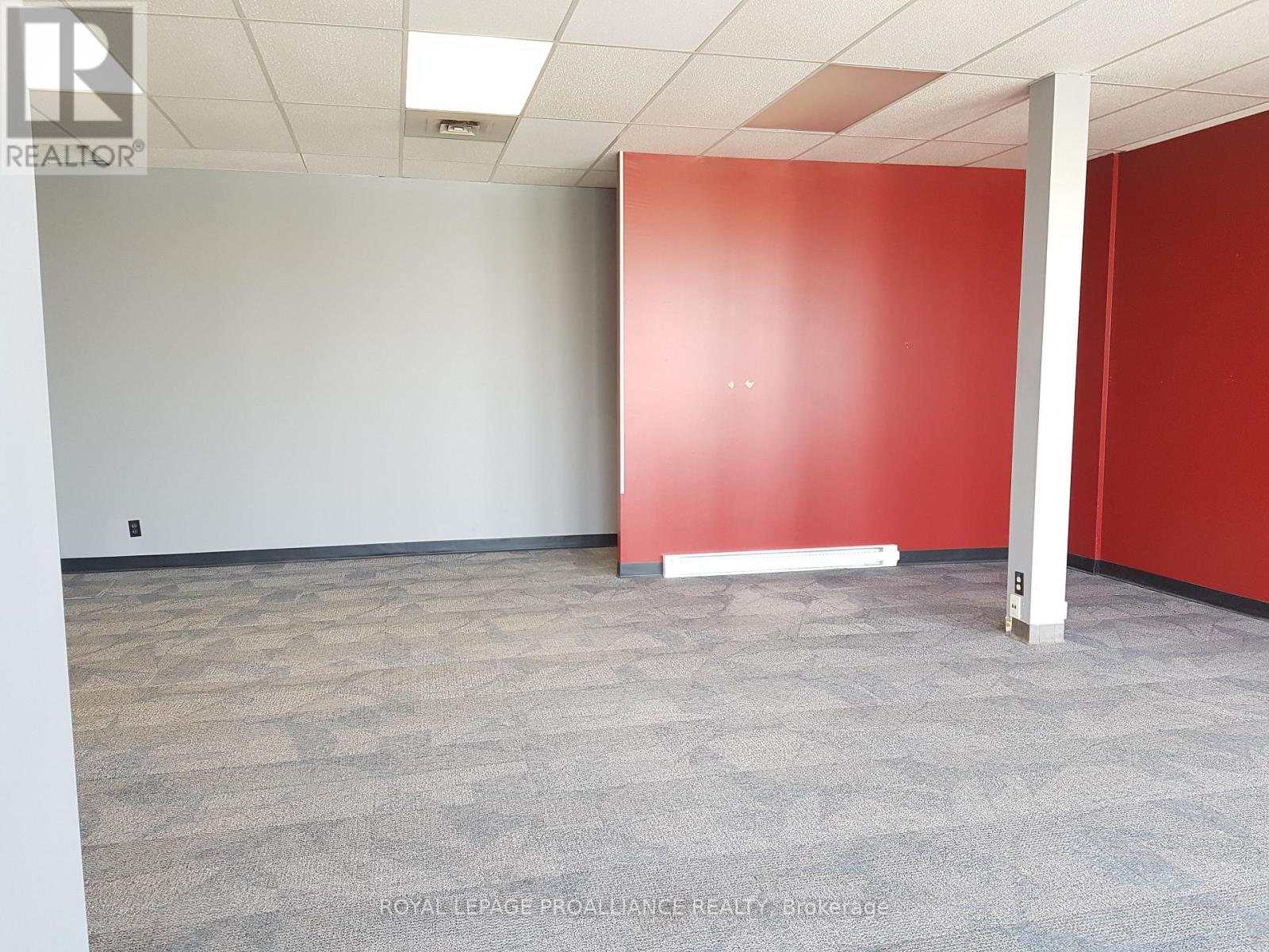 UPPER U3 - 205 NORTH FRONT STREET, Belleville (Belleville Ward) — photo 4