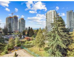 806 13438 Central Avenue, Delta, BC V3T0N2 Photo 29