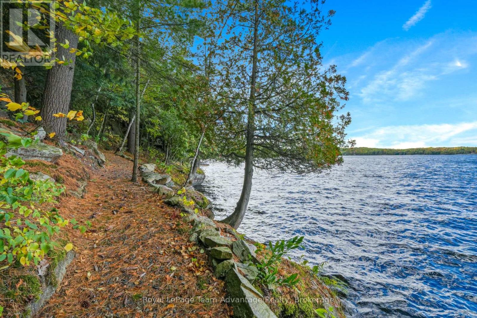 6 & 8 MILL HEIGHTS ROAD, McDougall — photo 4