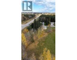 3pc Bathroom - 1892 63 Street, Edson, AB T7E1S5 Photo 8