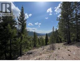 2206 Princeton Summerland Road, Princeton, BC V0X1W0 Photo 9
