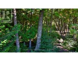 51 Lakewood Country Lane, Northern Bruce Peninsula, ON N0H1W0 Photo 14