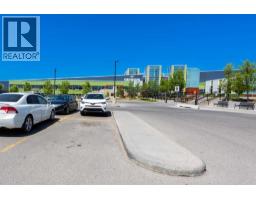 276 Taralake Terrace NE - photo 47