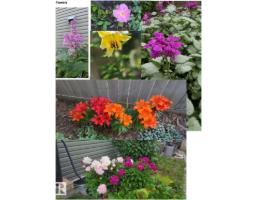 6703 20 Av Sw, Edmonton, AB T6X0T4 Photo 52