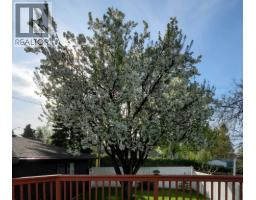 4124 19 Street NW - photo 43