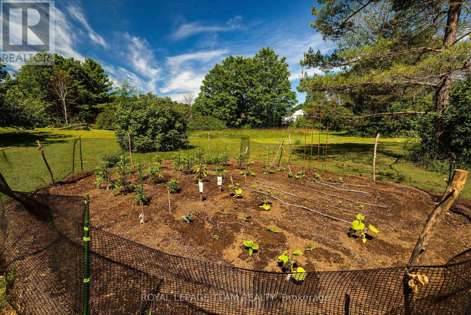 531 CRAIG ROAD - Image 45