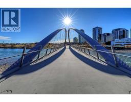 8, 828 8 Avenue Ne, Calgary, AB T2E9E2 Photo 39