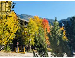 2049 Summit Drive Unit# 215 D, Panorama, BC V0A1T0 Photo 18