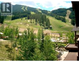 2049 Summit Drive Unit# 215 D, Panorama, BC V0A1T0 Photo 35