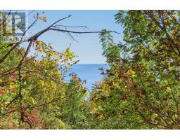 15 - 30 Livingston Road, Toronto, ON M1E1K6 Photo 37
