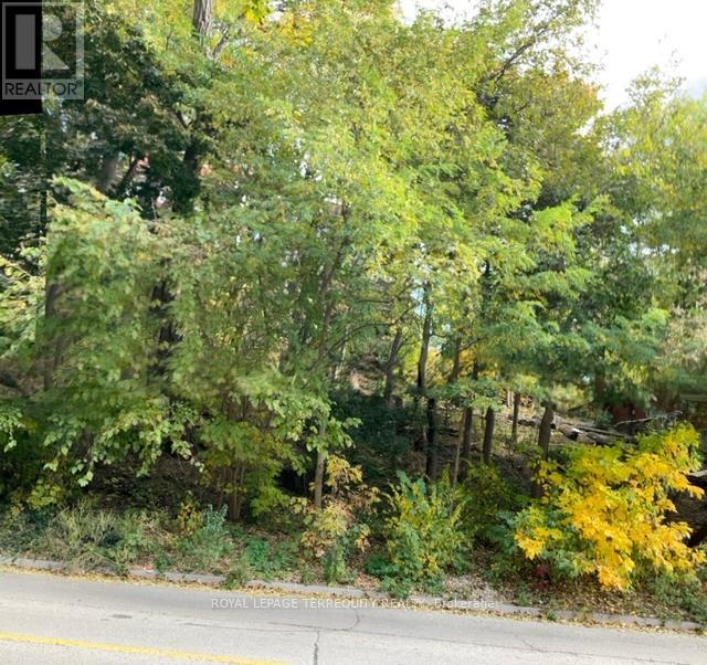 14 HUMBERCREST BOULEVARD - 32