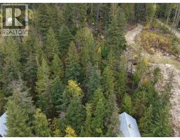 912 Bradley Road, Seymour Arm, BC V0E2V2 Photo 11