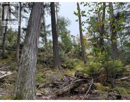 912 Bradley Road, Seymour Arm, BC V0E2V2 Photo 18