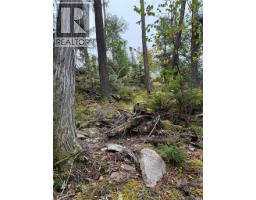 912 Bradley Road, Seymour Arm, BC V0E2V2 Photo 17