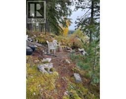 912 Bradley Road, Seymour Arm, BC V0E2V2 Photo 34