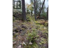 912 Bradley Road, Seymour Arm, BC V0E2V2 Photo 43