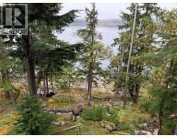 912 Bradley Road, Seymour Arm, BC V0E2V2 Photo 30