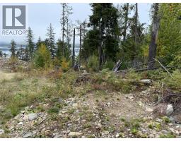 912 Bradley Road, Seymour Arm, BC V0E2V2 Photo 40