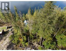 912 Bradley Road, Seymour Arm, BC V0E2V2 Photo 29