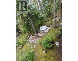 912 Bradley Road, Seymour Arm, BC V0E2V2 Photo 31