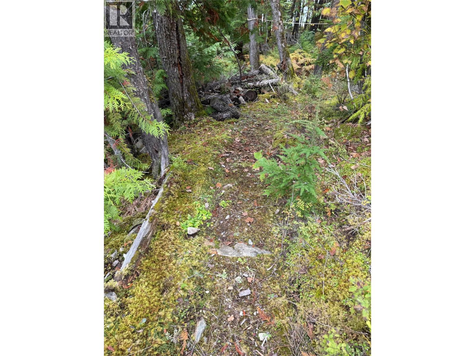 912 Bradley Road - Image 41