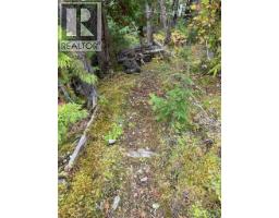 912 Bradley Road, Seymour Arm, BC V0E2V2 Photo 41
