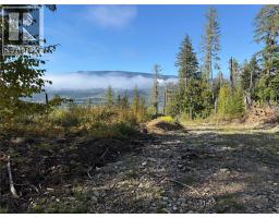 912 Bradley Road, Seymour Arm, BC V0E2V2 Photo 48