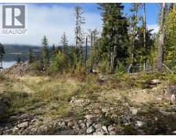 912 Bradley Road, Seymour Arm, BC V0E2V2 Photo 47