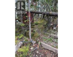 912 Bradley Road, Seymour Arm, BC V0E2V2 Photo 42