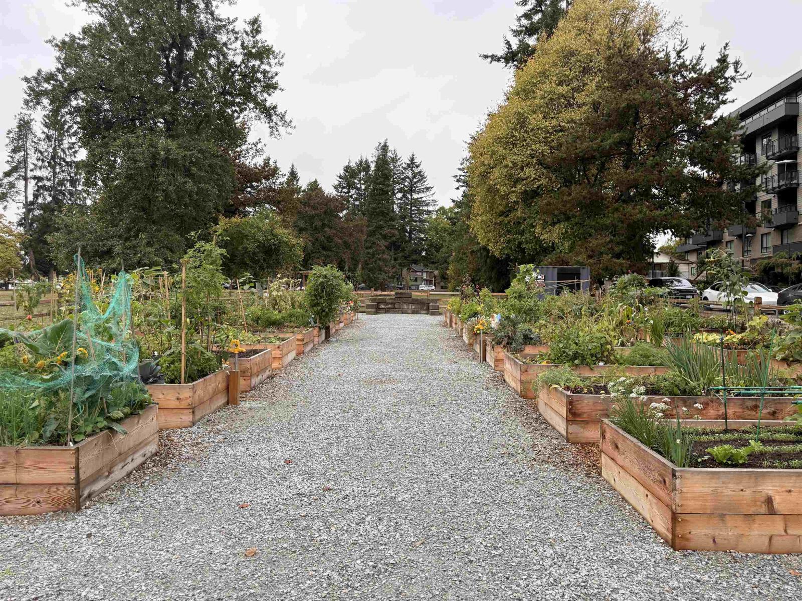 602 13458 95 AVENUE, Surrey