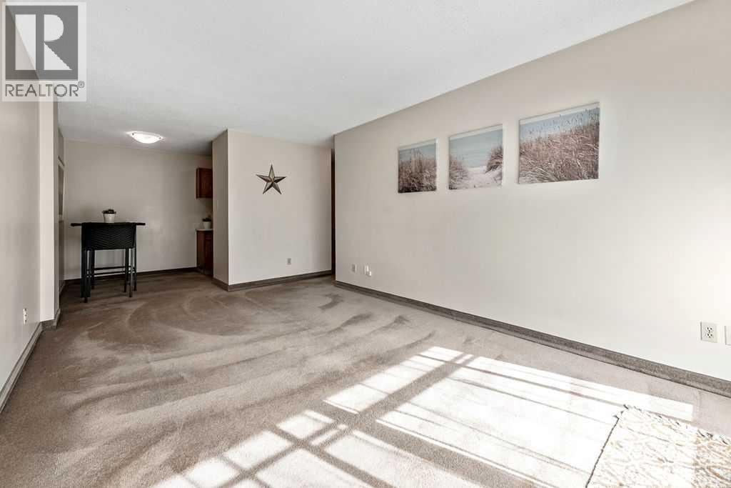 #509 339 13 Avenue SW - 3