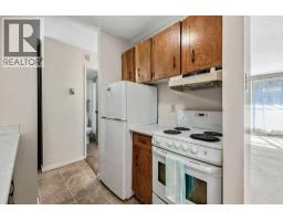 509, 339 13 Avenue Sw, Calgary, AB T2R0K3 Photo 10