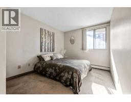 509, 339 13 Avenue Sw, Calgary, AB T2R0K3 Photo 12
