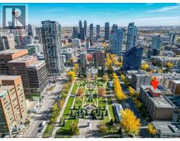 509, 339 13 Avenue Sw, Calgary, AB T2R0K3 Photo 32