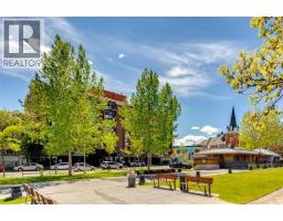 509, 339 13 Avenue Sw, Calgary, AB T2R0K3 Photo 33