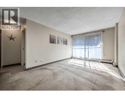 509, 339 13 Avenue Sw, Calgary, AB T2R0K3 Photo 7
