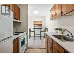 509, 339 13 Avenue Sw, Calgary, AB T2R0K3 Photo 9